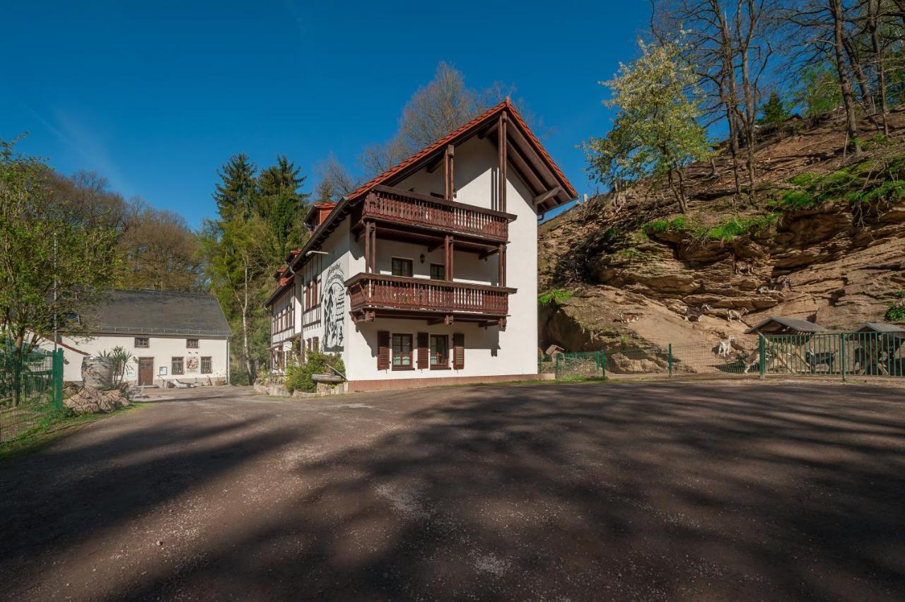Zur Margarethenmuehle - Landgasthof Und Waldhotel Rosswein Kültér fotó