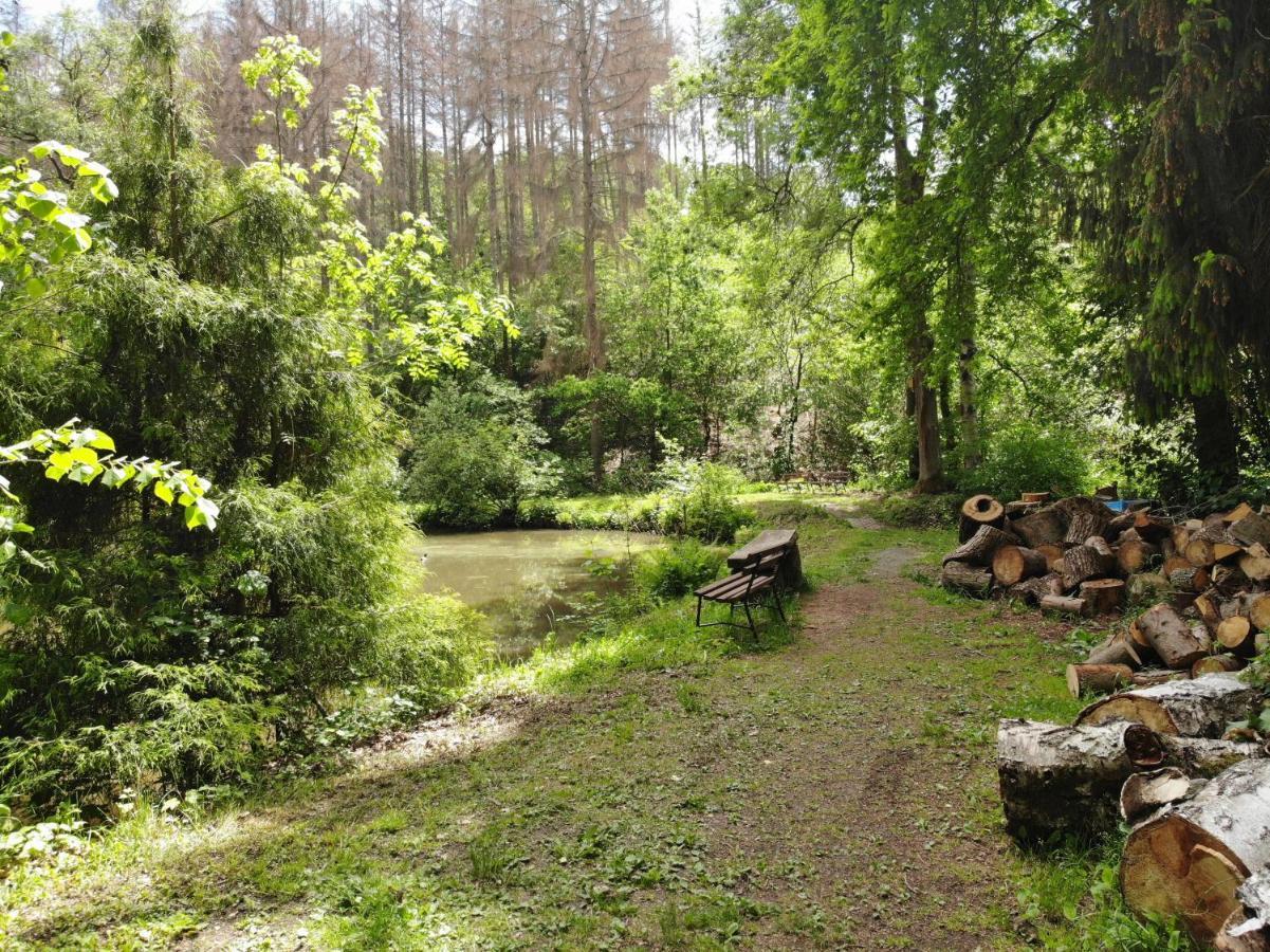 Zur Margarethenmuehle - Landgasthof Und Waldhotel Rosswein Kültér fotó