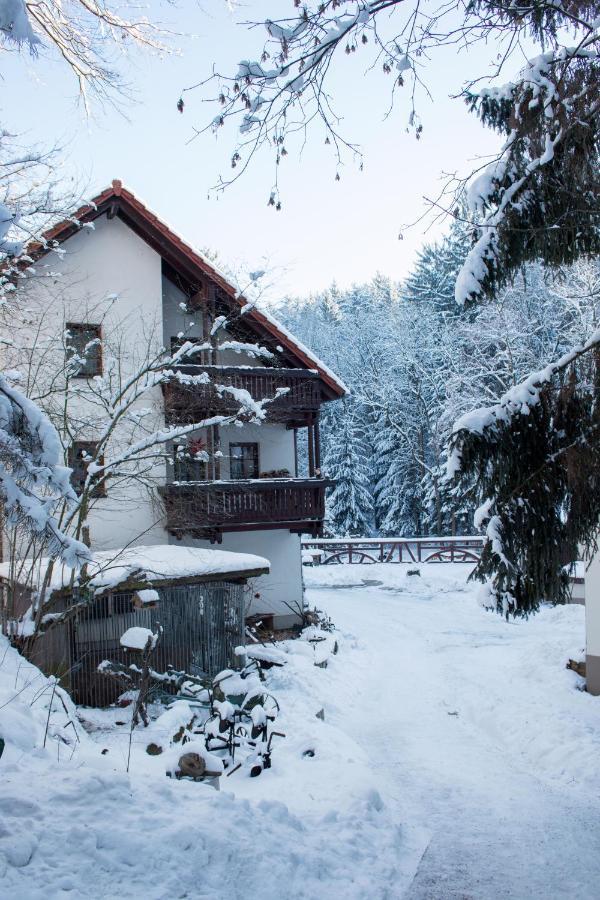 Zur Margarethenmuehle - Landgasthof Und Waldhotel Rosswein Kültér fotó