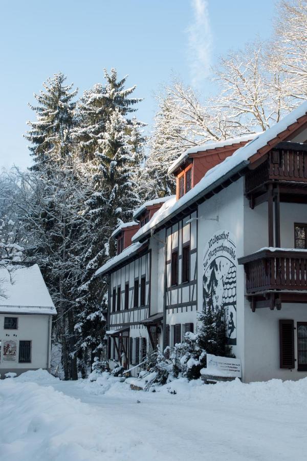 Zur Margarethenmuehle - Landgasthof Und Waldhotel Rosswein Kültér fotó